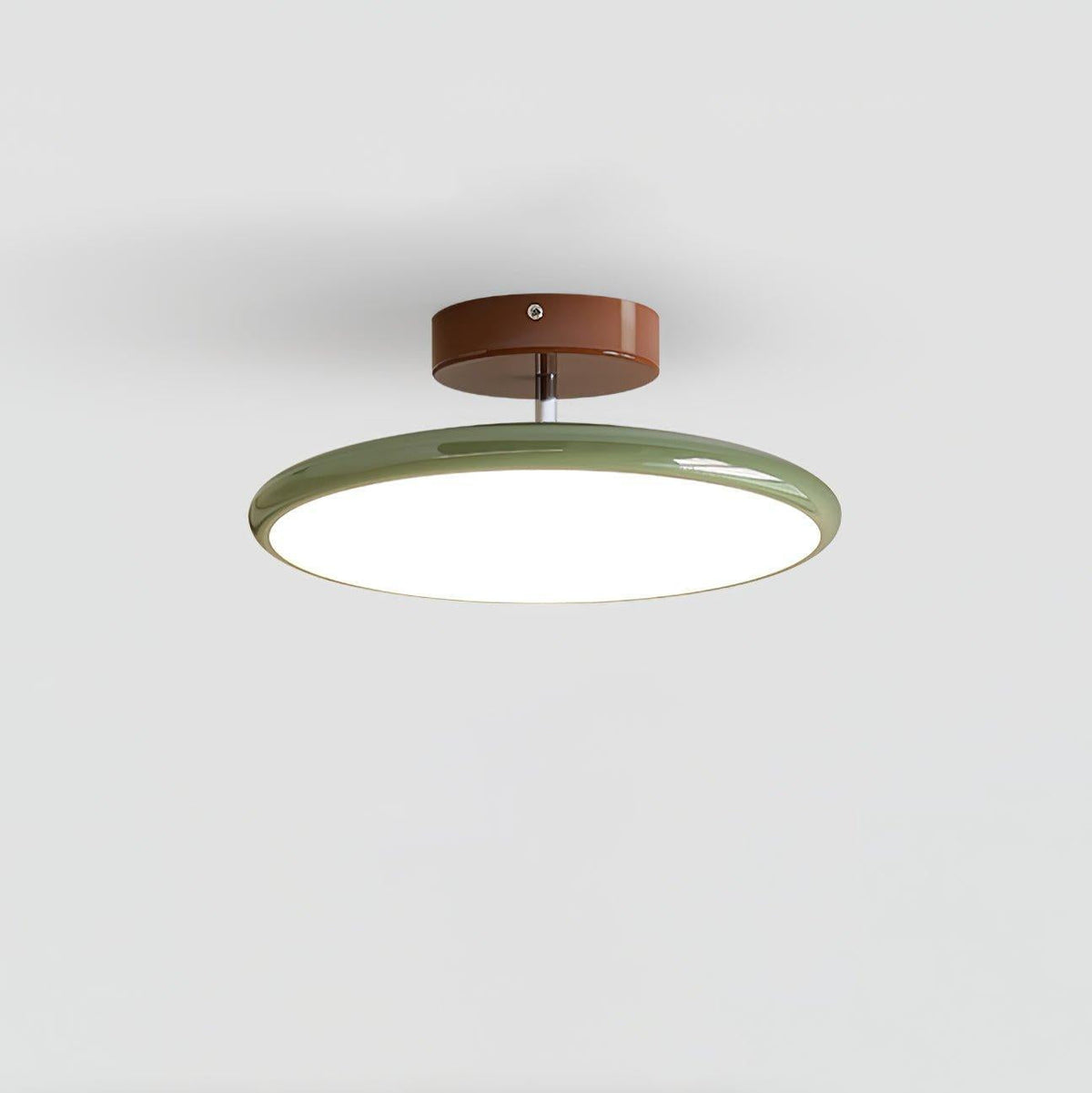 Shasta Adjustable LED Flush Mount Ceiling Light