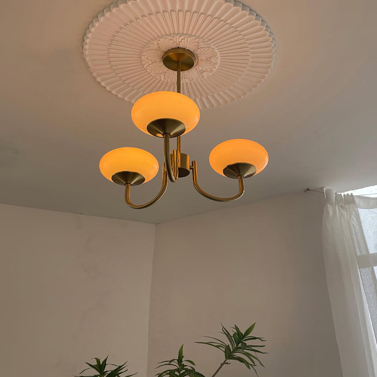 Modern Glass Globe Chandelier